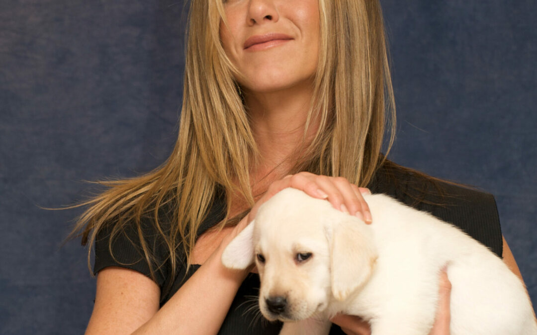 Jennifer Aniston’s new life as she becomes a foster mum